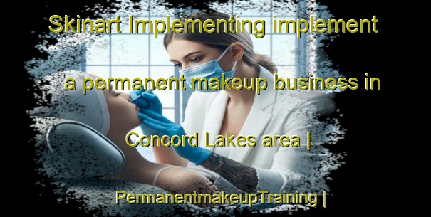 Skinart Implementing implement a permanent makeup business in Concord Lakes area | PermanentmakeupTraining | PermanentmakeupClasses | SkinartTraining-United States